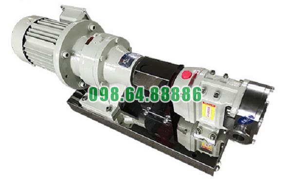 Máy bơm cánh khế 3RP-20 áp suất 0.6 MPa