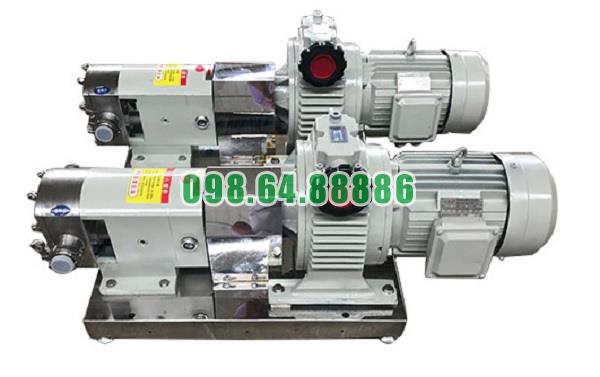 Máy bơm lobe 3RP-60 lưu lượng 18 m3/h áp suất 0,6 MPa tốc độ quay 500 vòng/phút