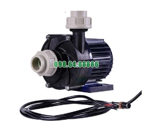 Máy bơm ly tâm dẫn động từ TDM-400ERU-DC48 tốc độ quay 1600 vòng/phút