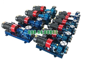 Máy bơm tuần hoàn dầu nóng RY25-25-160 lưu lượng 3 m3/h, công suất 1.5 kW, cột áp 27 m, tốc độ 2.900 vòng/phút